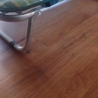 Letto cane taglia media con cuscino.