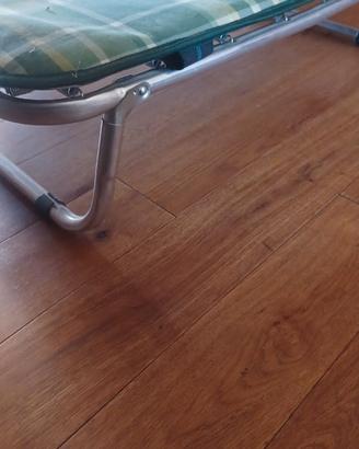 Letto cane taglia media con cuscino.