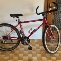 Bici mountain bike ragazzo/uomo
