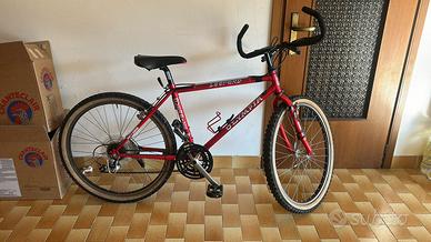 Bici mountain bike ragazzo/uomo