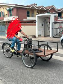 bicicletta a carrettino doniselli 