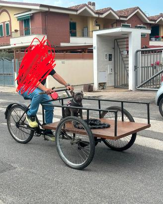 bicicletta a carrettino doniselli 