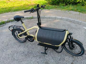 Cargobike Carrie Easy