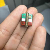 distintivo da occhiello del Partito Nazionale
(PNF