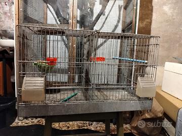 gabbia per canarini -coccorite 