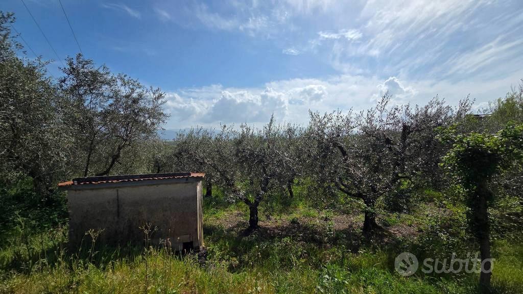 Terreno di 3300 m² a Piglio - Vista 5
