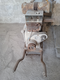 Torchio 80 e rimorchio in buone condizioni