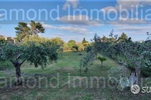 Terreno di 750 mq a presa -piedimonte etneo