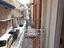 Immagine 14