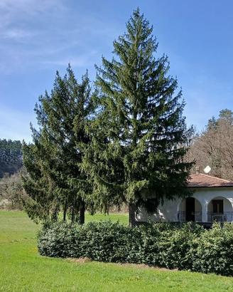 Villa Indipendente a Zavattarello, Oltrepò Pavese