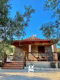 Villa o villino Casal Velino [Cod. rif 3253045VRG]