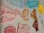 Immagine 5