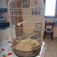Gabbione per merlo pappagalli ecc.