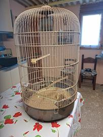 Gabbione per merlo pappagalli ecc.