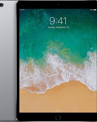 IPad Pro 10.5 64G wi-fi + cellular grigio siderale