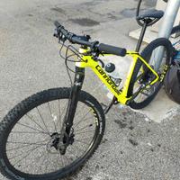 Cannondale f29 carbon 4