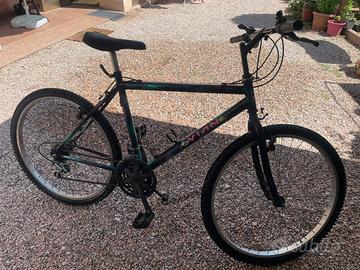 Mountain Bike VIAN