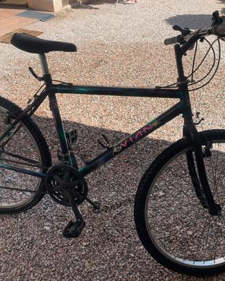 Mountain Bike VIAN