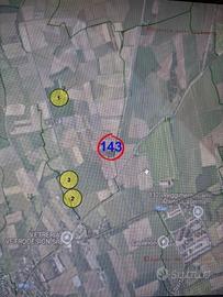 Terreno Agricolo Cordenons