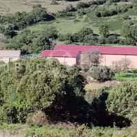 Tenuta agricola con capannoni vendita