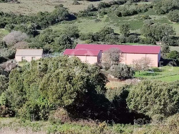 Tenuta agricola con capannoni vendita