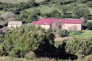 Tenuta agricola con capannoni vendita