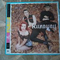 Disco in vinile DEEE- LITE ( RUNAWAY)