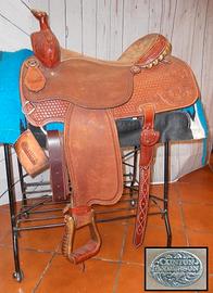 Sella  western americana  Martin 15.5