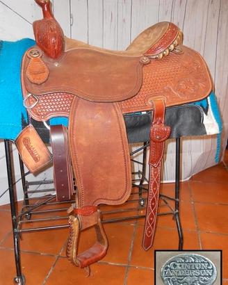 Sella  western americana  Martin 15.5