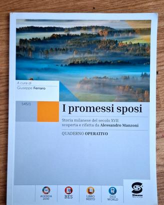 i promessi sposi