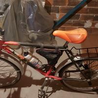 Mountain bike vintage anni 90