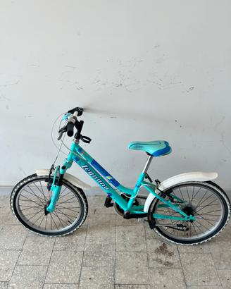 Mountainbike Legnano seahorse 20