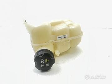 VASCHETTA LIQUIDO RADIATORE MINI Cooper Serie (F66