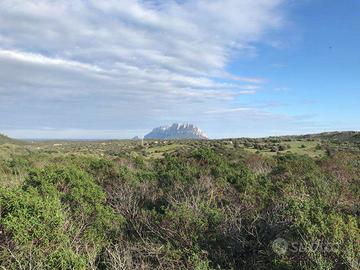 Terreno agricolo panoramico di oltre 7,8 ettari co