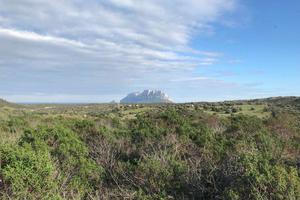Terreno agricolo panoramico di oltre 7,8 ettari co
