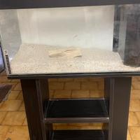 Acquario in vetro con mobile