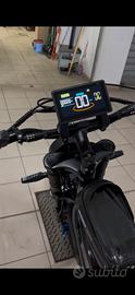 Bicicletta elettrica