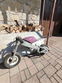minimoto polini