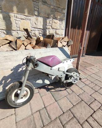 minimoto polini