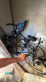Bici da passeggio