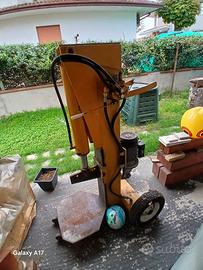 spaccalegna 220 volt. 