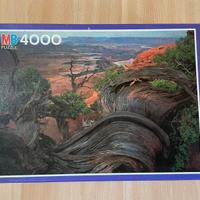 PUZZLE 4000 pezzi