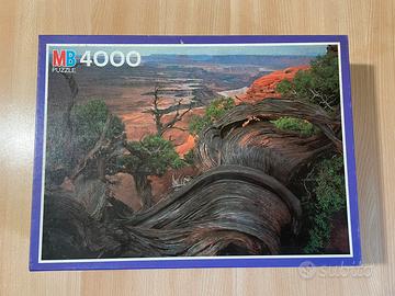 PUZZLE 4000 pezzi