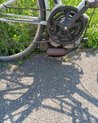 bicicletta mosquito 