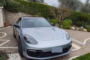 Panamera Platinum Edition 2.9 E-Hybrid