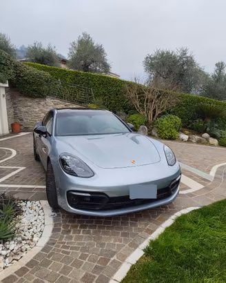 Panamera Platinum Edition 2.9 E-Hybrid