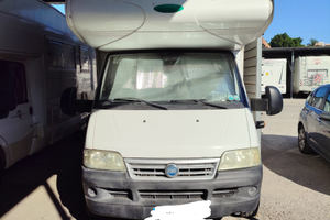 Camper Mclouis tandy plus