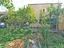Immagine 16