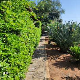 Villetta a Porto Palo Menfi
