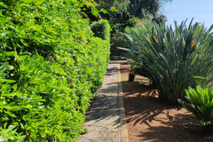 Villetta a Porto Palo Menfi